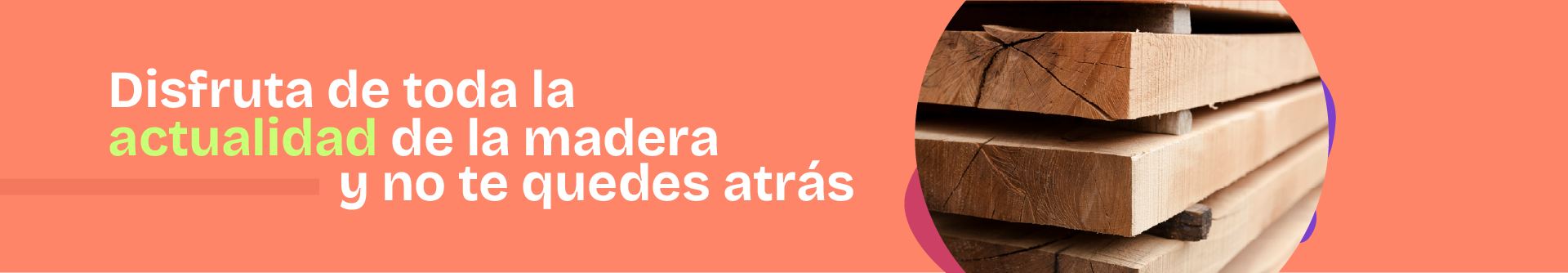 actualidad-banner.webp