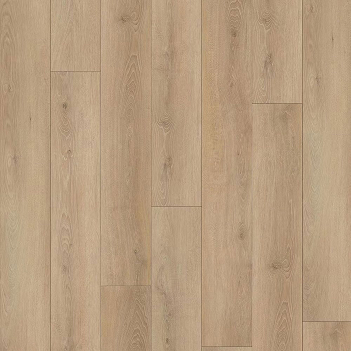 SP AQQUO EASY BIG 6mm - ROBLE WINTER - 9757