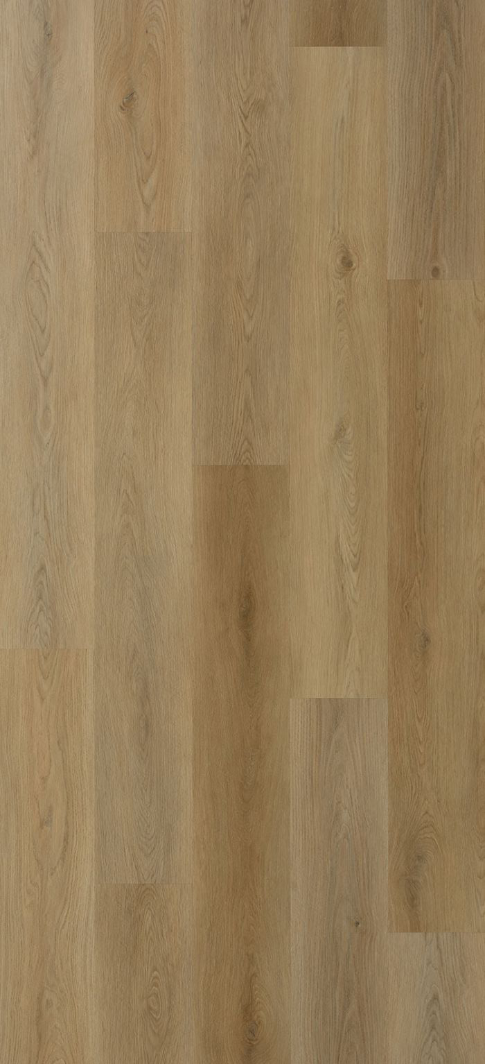 foto_destacada