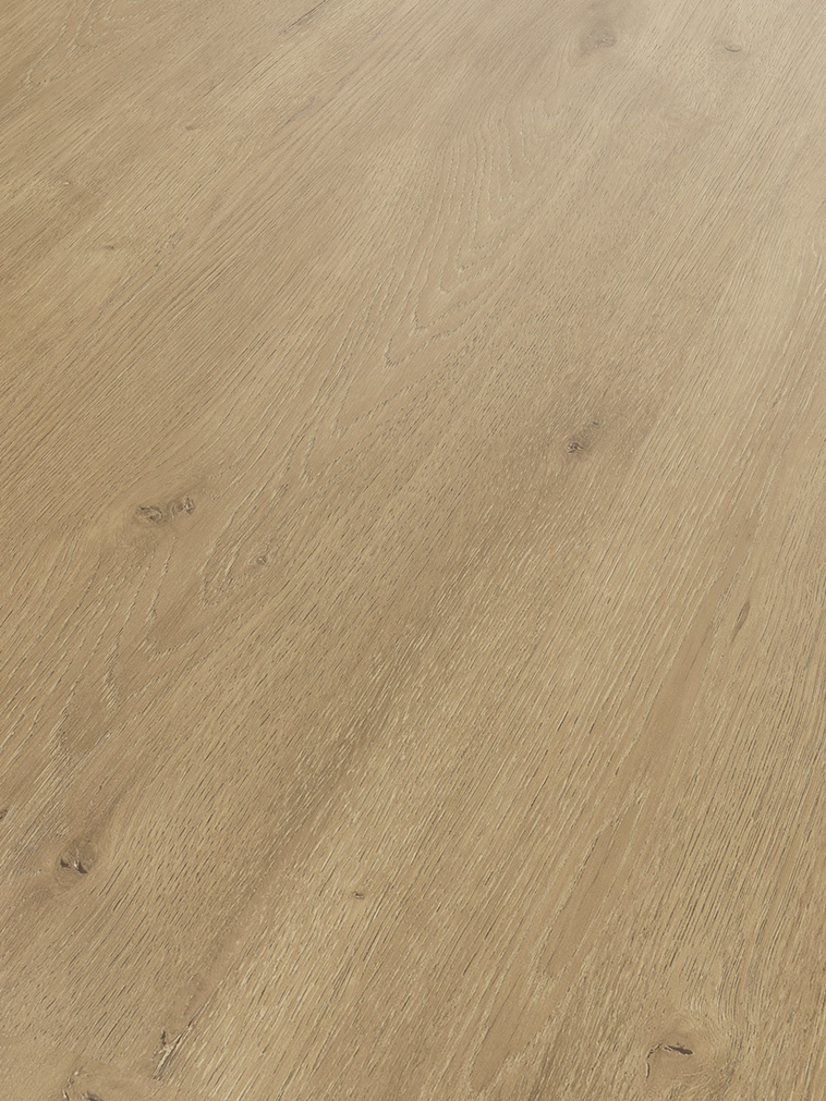 XX LARGE - NOTTING HILL OAK - I275117